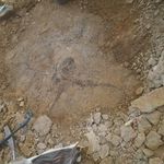 Profile Picture of David Gandini (@davidgandini) on Instagram