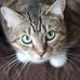 Profile Picture of Shirley Gilpin (@Shirley-Gilpin) on Facebook