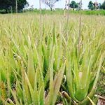 Profile Picture of Jeremy Atwell (@jerandviv.atwell) on Instagram