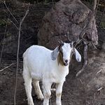 Profile Picture of Matthew Fillion (@fillion_matthew) on Instagram