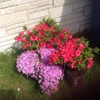Profile Picture of Cathy Parker (@cathy-parker-18) on Quora