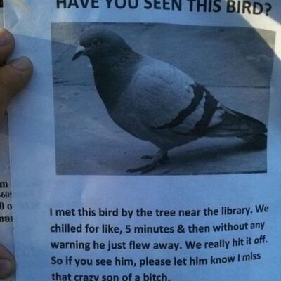 Profile Picture of ahmed shama (@shamshama) on Twitter