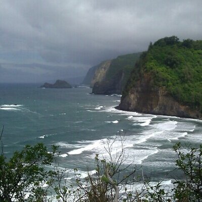 Profile Picture of Terrence Chambers (@TCakaTdogg) on Twitter