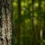 Profile Picture of ewen (@margarett16xsean) on Instagram