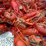 Profile Picture of lars ericsson (@happy_swede) on Instagram