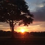 Profile Picture of Kimjeffreys01 (@kjeffreystraveler) on Instagram