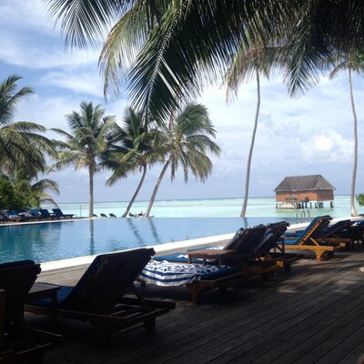 Profile Picture of Stephanie Galea (@zoeyg1273_galea) on Twitter