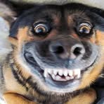 Profile Picture of Kong Tae (@Kong-Tae) on Facebook