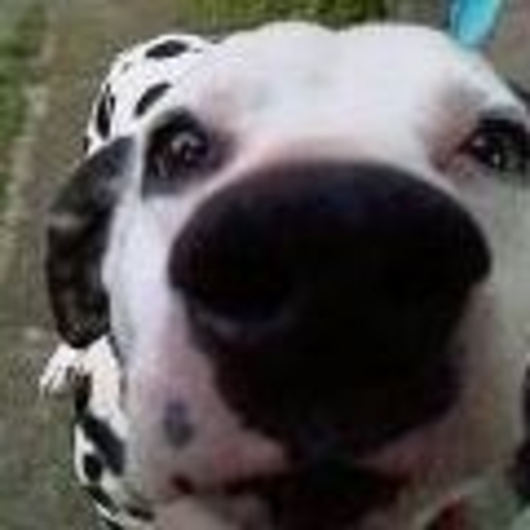 Profile Picture of Jason Patterson (@weputfiresout) on Poshmark