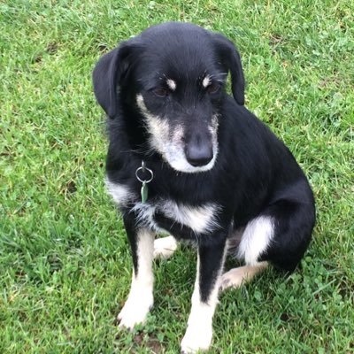 Profile Picture of Dylan Bloomfield (@bloomfield_bob) on Twitter