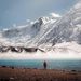 Profile Picture of Suman Shrestha I Traveler (@travelf60) on Pinterest