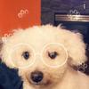 Profile Picture of Eric Zhao (@@eric_the_epic06) on Tiktok