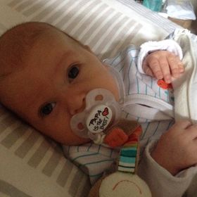 Profile Picture of allison plaut (@allisonplaut) on Pinterest