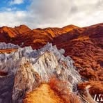 Profile Picture of Daryl Tagne (@Daryl-Tagne) on Facebook