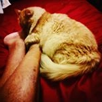 Profile Picture of David Michael Sânchéz (@chupacabrone) on Instagram