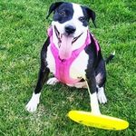 Profile Picture of Robert Cassidy (@robert.cassidy.9066) on Instagram