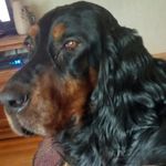 Profile Picture of Janell Jessup (@janellks) on Instagram