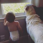 Profile Picture of Kevin Morin (@kevmorin) on Instagram