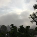 Profile Picture of Brian Binsack (@b_binsack) on Instagram