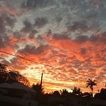 Profile Picture of ruby (@rubyneilsen) on Instagram