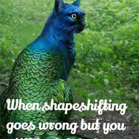 Profile Picture of Deann Nolley (@deannnolley) on Pinterest