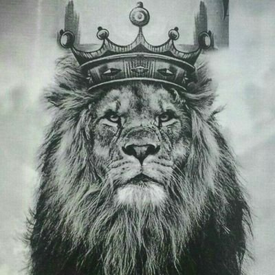Profile Picture of A M A N O (@AmanoAhmed) on Twitter