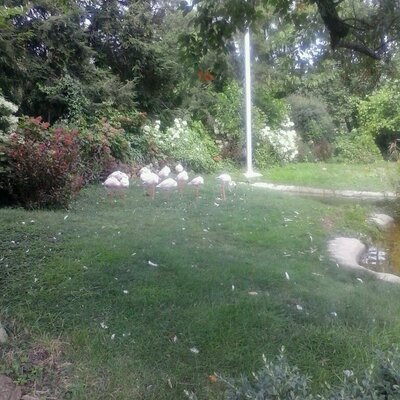 Profile Picture of Larry Jones (@larryj98366) on Twitter