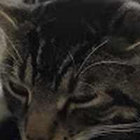 Profile Picture of Joel Canavan (@joel-canavan) on Quora