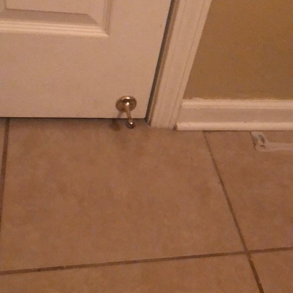 Profile Picture of Taylor Thierry (@taythir) on Poshmark