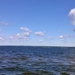 Sean William Moran - Instagram Profile Picture of Sean William Moran (@dolphinfan83) on Instagram