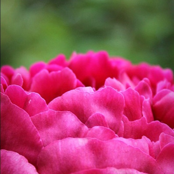 Profile Picture of Michelle Stecyk (@michelle777715) on Poshmark