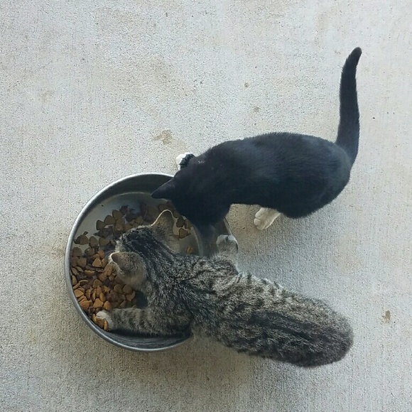 Profile Picture of Amanda Mckinzey (@mckinzeya) on Poshmark