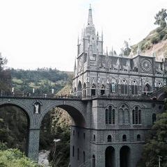 Profile Picture of Tomás Zhao (@thomaszhao1) on Tiktok