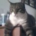 Profile Picture of Joni George Cheeves (Forsythe Piech) (@joni.cheeves) on Facebook
