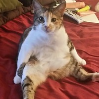 Profile Picture of Euroforensics, Ok D. Faris (@euroforensics-ok-d-faris) on Quora