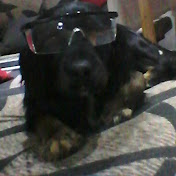 Profile Picture of Jose Collantes Lopez (@masacre2357) on Youtube