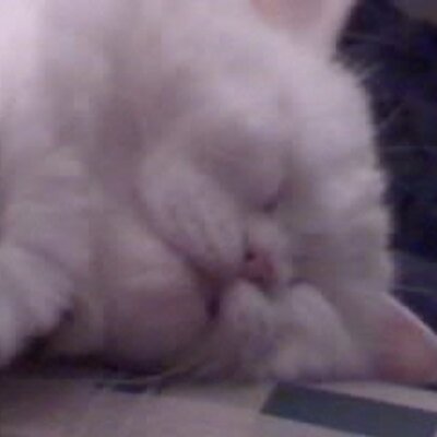 Profile Picture of Saiha Tasleem Mirza (@Saihatasleem) on Twitter