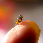 Profile Picture of Julia Cissell (@gods flying flowers.etsy) on Flickr