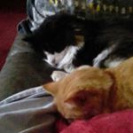 Profile Picture of jasmine snead (@jasmine.snead1243) on Instagram