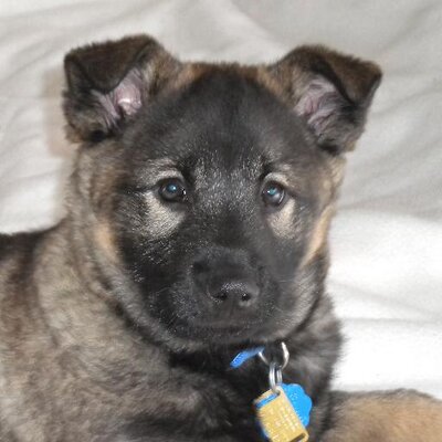 Profile Picture of Jeffrey Clauss (@Jeff_Clauss) on Twitter