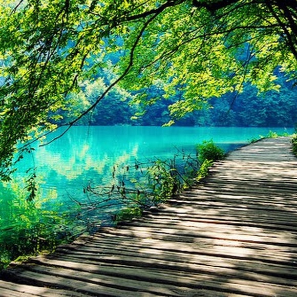 Profile Picture of Olya Avdeyev (@olyaavd) on Poshmark