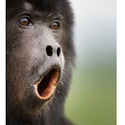 Profile Picture of Jan Erik Hansen (@janerikhansen9002) on Youtube