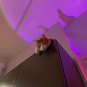 Profile Picture of Katelyn Nguyen (@nguyenkatelyn) on Youtube