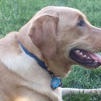 Profile Picture of David Ticknor (@DavidTicknor) on Twitter