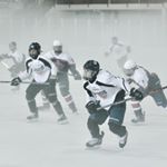 Profile Picture of Chip DeLorenzo (@chipshots_photography) on Instagram