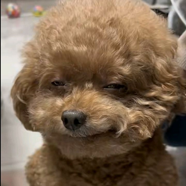 Profile Picture of falon (@falonlmao) on Tiktok