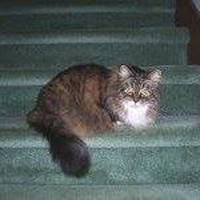 Profile Picture of Robert E Baumuller (@robert-e-baumuller) on Quora