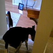 Profile Picture of Trinity Lee (@milfmom2) on Youtube