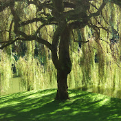 Profile Picture of Larry Ching (@larryching7785) on Youtube