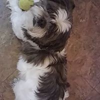 Profile Picture of Noel Zamora (@noel-zamora-7) on Quora